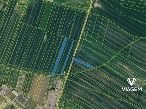 Prodej podílu pole, Moravské Budějovice, 1482 m2