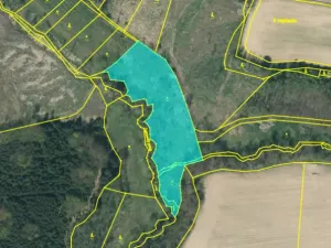 Prodej rybníku, Dolní Hořice - Pořín, 8552 m2