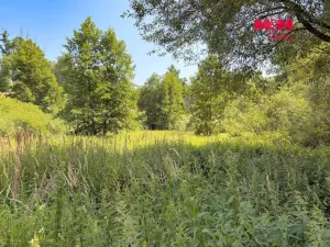 Prodej rybníku, Dolní Hořice - Pořín, 8552 m2