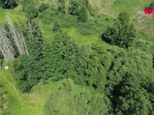 Prodej rybníku, Dolní Hořice - Pořín, 8552 m2