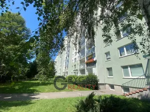 Prodej bytu 1+1, Praha - Chodov, Bachova, 43 m2