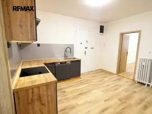 Pronájem bytu 3+1, Praha - Nové Město, Karlovo náměstí, 79 m2