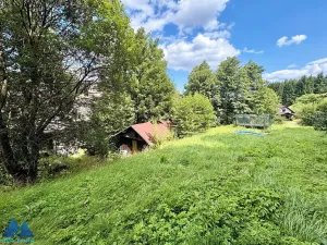 Prodej chalupy, Bukovina u Čisté, 150 m2