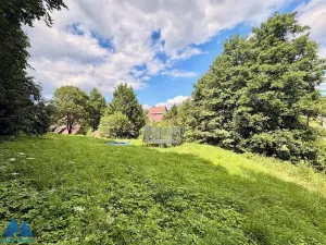 Prodej chalupy, Bukovina u Čisté, 150 m2