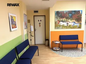 Pronájem ordinace, Praha - Bubeneč, Dejvická, 41 m2