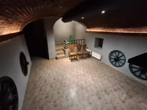 Pronájem restaurace, Cheb, Smetanova, 185 m2