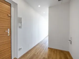 Prodej bytu 2+kk, Praha - Karlín, Nekvasilova, 42 m2