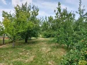 Prodej rodinného domu, Morkovice-Slížany, Kolaříkova, 69 m2