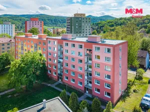Prodej bytu 2+1, Ústí nad Labem - Neštěmice, Sibiřská, 63 m2