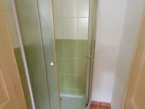 Pronájem bytu 1+kk, Praha - Žižkov, Hartigova, 30 m2
