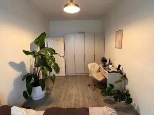 Pronájem bytu 2+kk, Praha - Žižkov, Hartigova, 50 m2