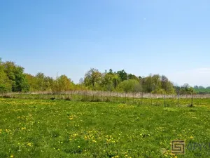 Prodej pozemku pro bydlení, Horní Lhota, Okružní, 1777 m2