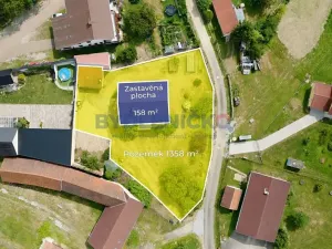 Prodej vícegeneračního domu, Střížov, 252 m2