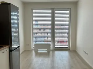 Pronájem bytu 1+kk, Brno, Dornych, 30 m2