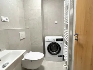 Pronájem bytu 1+kk, Brno, Dornych, 30 m2