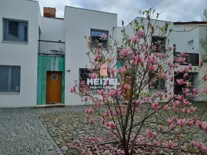 Pronájem bytu 2+kk, Olomouc, Vodární, 59 m2