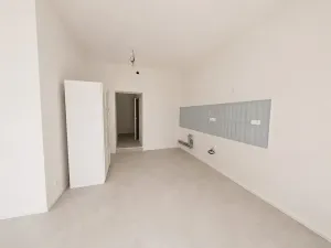 Prodej bytu 1+kk, Brno, Cejl, 60 m2