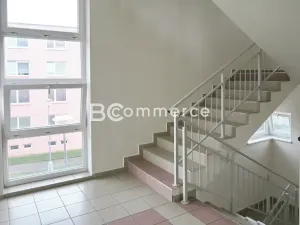 Pronájem kanceláře, Brno, 90 m2