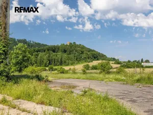 Prodej komerčního pozemku, Potštejn, 8581 m2