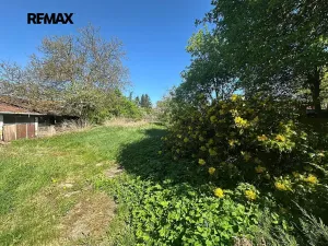 Prodej rodinného domu, Kralovice, Na Palcátech, 220 m2