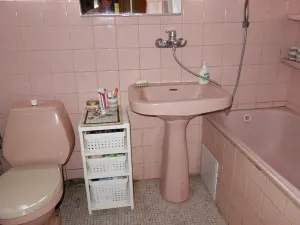 Prodej chaty, Nedvědice, 81 m2