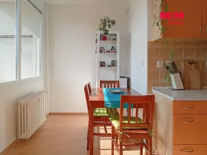 Prodej bytu 2+1, Ústí nad Labem - Severní Terasa, Jana Zajíce, 50 m2