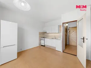Prodej bytu 1+1, Ústí nad Labem, Peškova, 38 m2