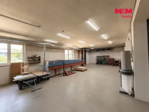 Prodej obchodního prostoru, Klenovice, 851 m2