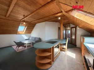 Prodej obchodního prostoru, Klenovice, 851 m2