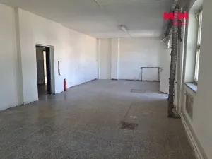 Pronájem skladu, Brno - Černovice, Hájecká, 137 m2