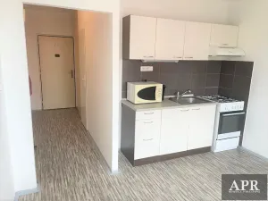 Pronájem bytu 1+1, Uherský Brod, Šaripova, 40 m2