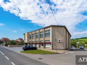 Pronájem obchodního prostoru, Pašovice, 381 m2