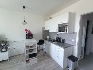 Pronájem bytu 1+kk, Plzeň - Bolevec, Studentská, 28 m2