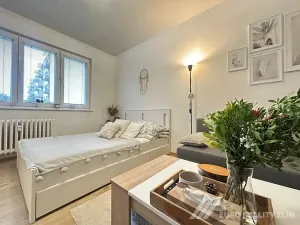 Pronájem bytu 1+1, Zlín, Husova, 32 m2