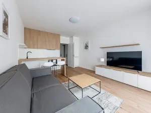 Pronájem bytu 1+kk, Praha - Karlín, Pernerova, 30 m2