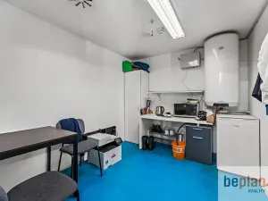 Prodej komerční nemovitosti, Ústí nad Labem, Bílinská, 108 m2