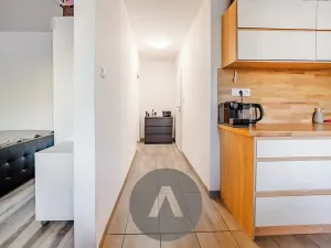 Prodej bytu 1+1, Brno, Horácké náměstí, 45 m2