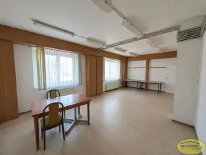 Prodej rodinného domu, Bystřice pod Hostýnem, Tyršova, 1300 m2