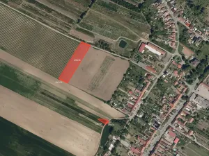 Prodej pole, Svatobořice-Mistřín, 54120 m2