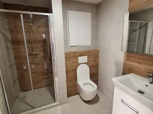 Prodej bytu 2+kk, Brno, Žabí, 50 m2