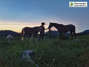 Prodej rodinného domu, Fužine, Chorvatsko, 142 m2