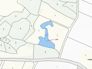 Dražba pozemku, Kadov, 2951 m2