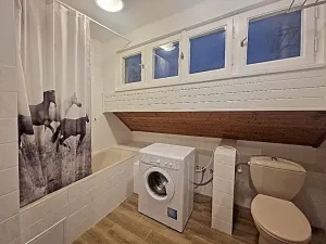 Pronájem bytu 3+1, Praha, Na Větrníku, 100 m2