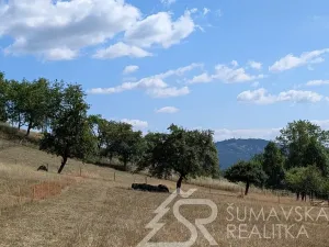 Prodej pozemku, Petrovice u Sušice - Pařezí, 4773 m2