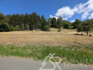 Prodej pozemku, Petrovice u Sušice - Pařezí, 4773 m2