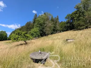 Prodej pozemku, Petrovice u Sušice - Pařezí, 4773 m2