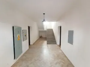 Prodej bytu 3+kk, Planá, Karlín, 61 m2