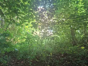 Prodej pozemku pro bydlení, Kozlovice, 1392 m2