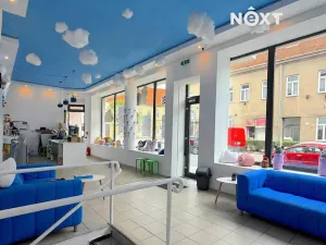 Pronájem obchodního prostoru, Prostějov, Újezd, 89 m2