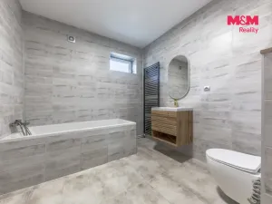 Prodej rodinného domu, Opočnice, 150 m2